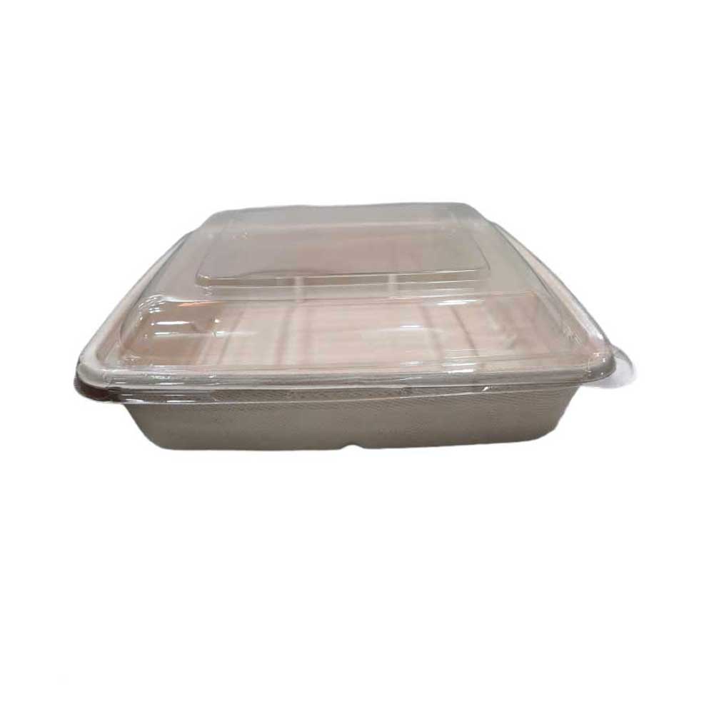 Bio-Degradable Rectangular Container 1000 ML Pet Lid 50 Pieces-SNH Packing