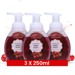 Hand Wash Berry Burst Liquid 250ML With Foaming Pump