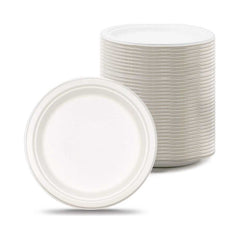 Bagasse Biodegradable Plate White 10Inch 500 Pieces