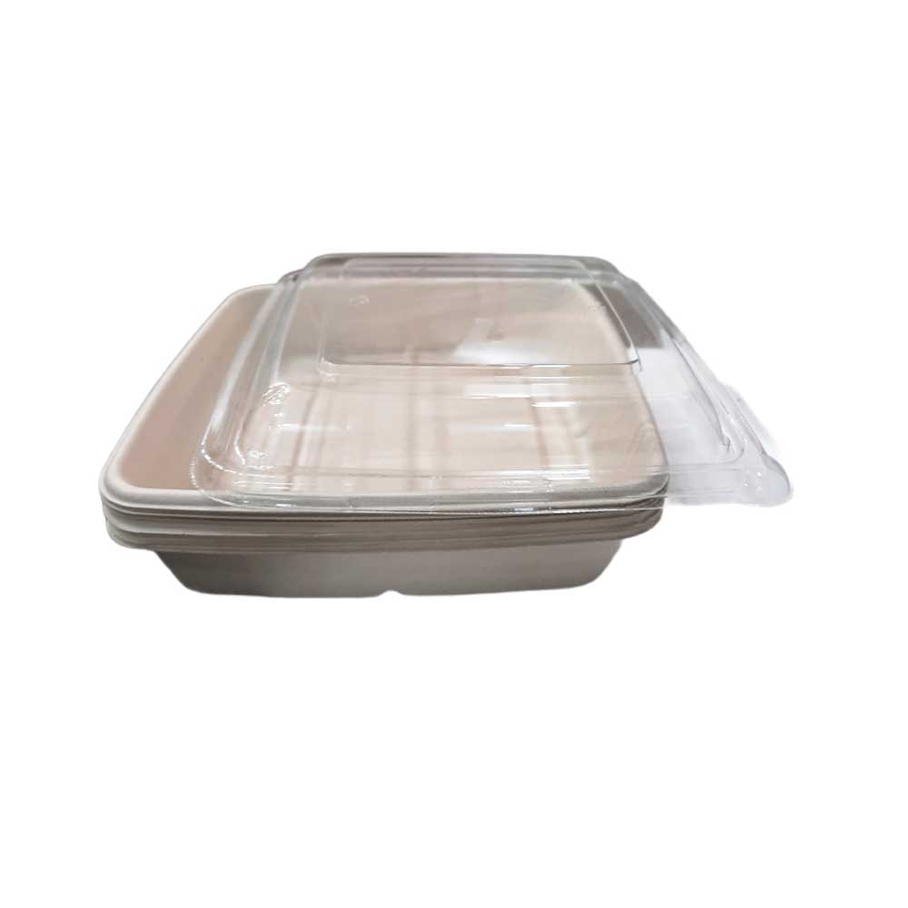 Bio-Degradable Rectangular Container 1000 ML Pet Lid 50 Pieces