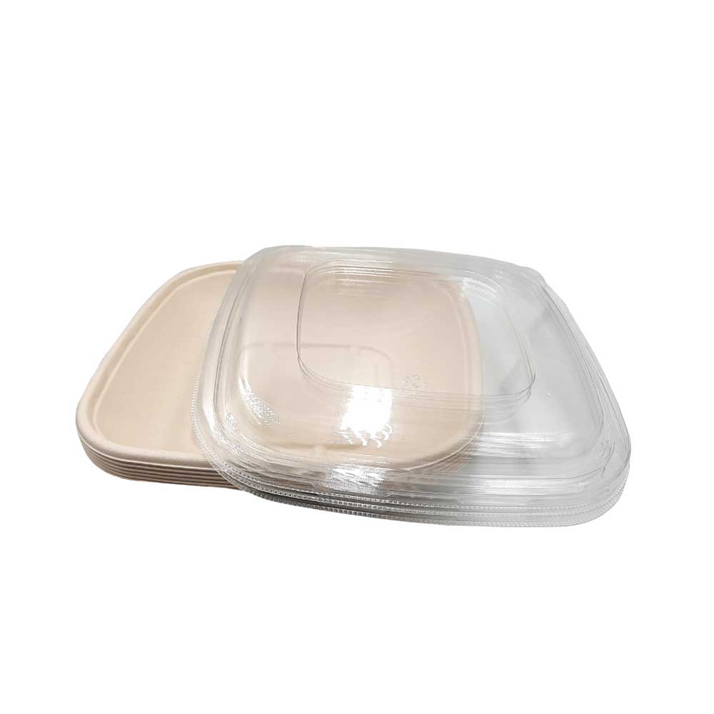 Bagasse Square Container 32 Oz Pet Lid 1X300 Pieces