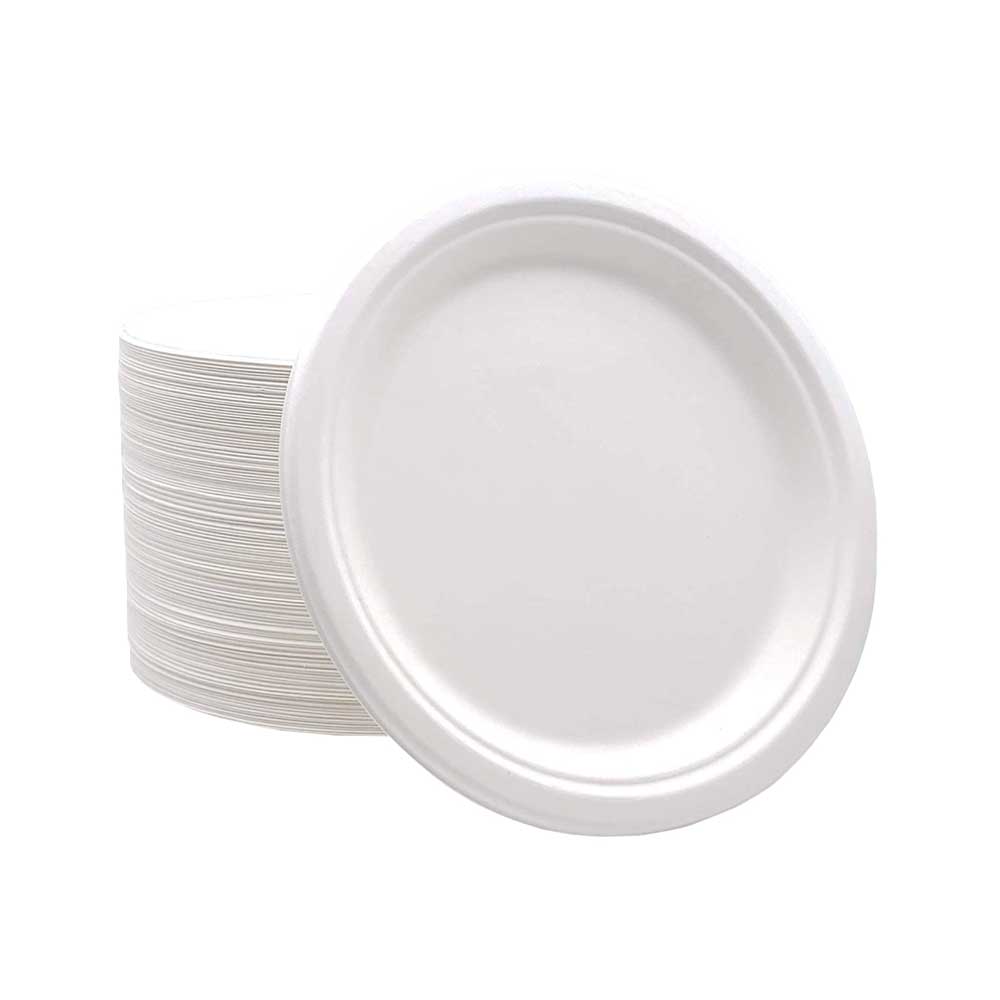 Bagasse Biodegradable Plate White 9 Inch 500 Pieces