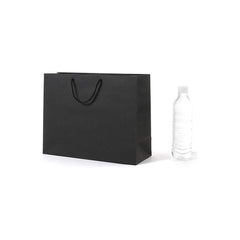 Luxury Paper Bag With Twisted Handle