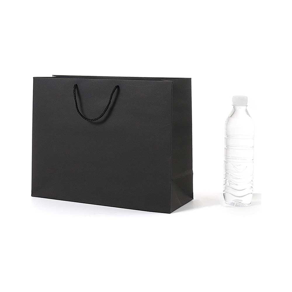 Luxury Paper Bag With Twisted Handle