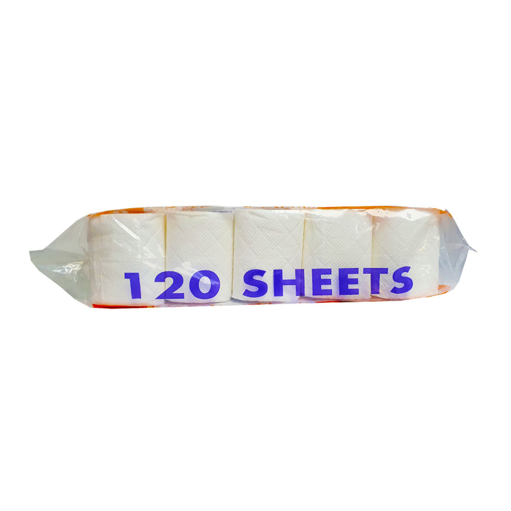 Soft N Hygienic Toilet Roll 120 Sheets 10X10 Pieces